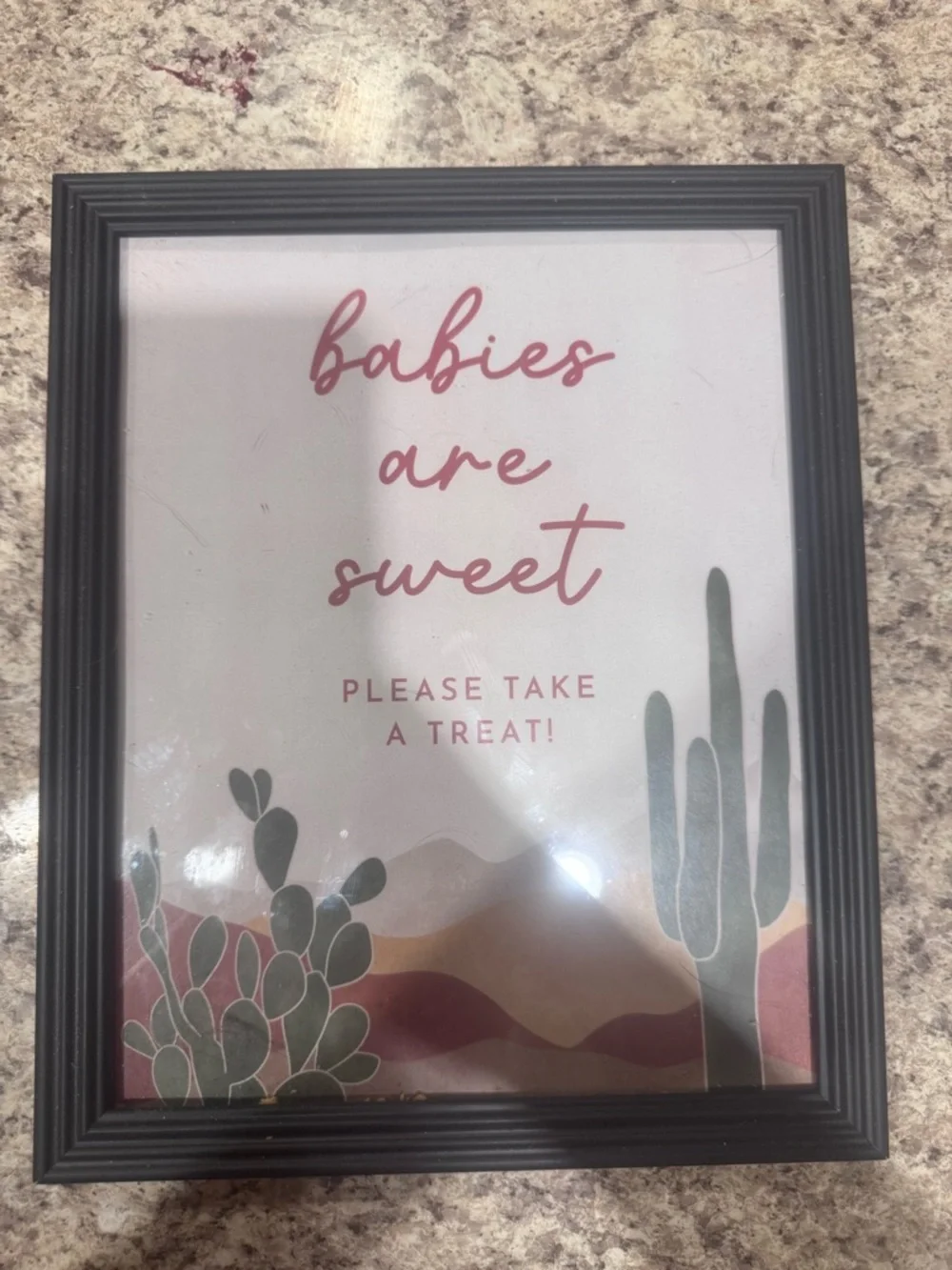 Baby Shower Desert Cactus Picture Frames-2